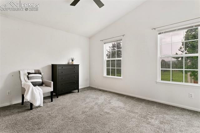 MLS Image for 3459  Queen Anne   ,Colorado Springs, Colorado