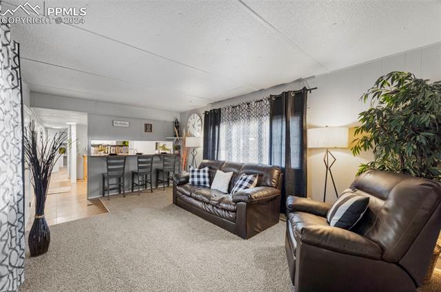 MLS Image for 664 S Dante  ,Pueblo West, Colorado