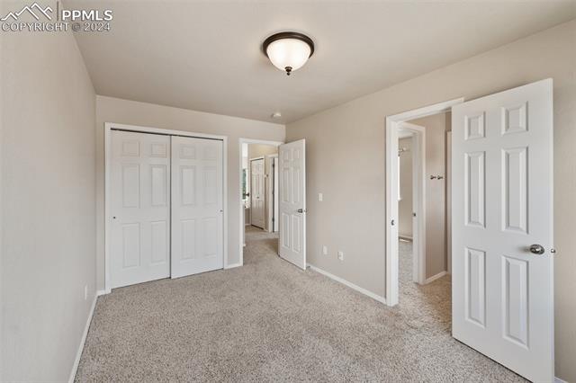 MLS Image for 8065  Mount Hayden  ,Colorado Springs, Colorado