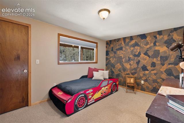 MLS Image for 2809  Edlowe  ,Woodland Park, Colorado