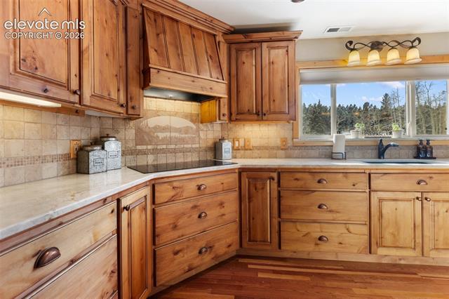 MLS Image for 2809  Edlowe  ,Woodland Park, Colorado