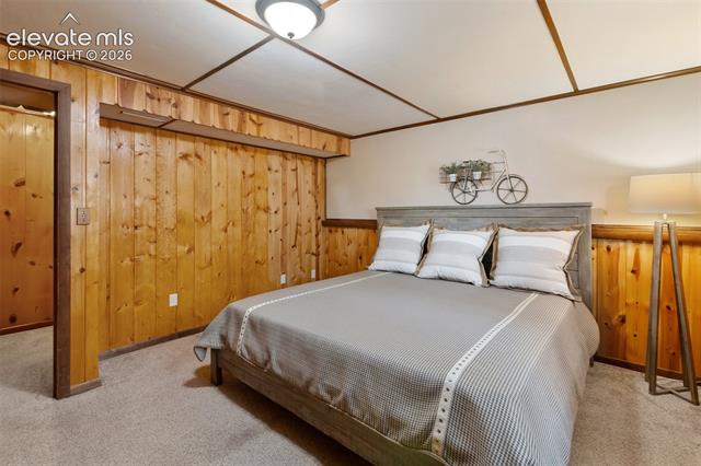 MLS Image for 2809  Edlowe  ,Woodland Park, Colorado