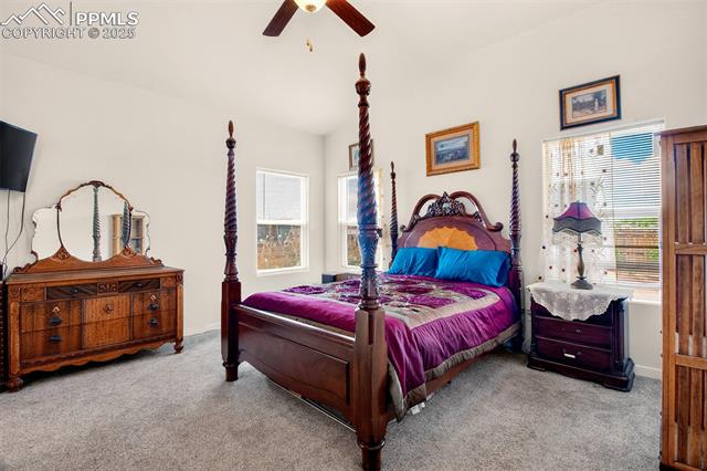 MLS Image for 8746  Bittercress  ,Colorado Springs, Colorado