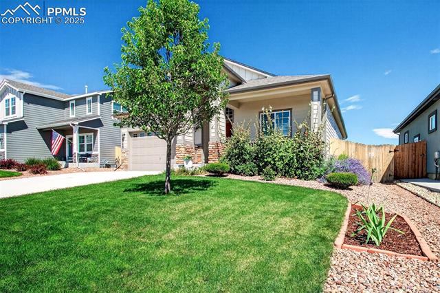 MLS Image for 8746  Bittercress  ,Colorado Springs, Colorado