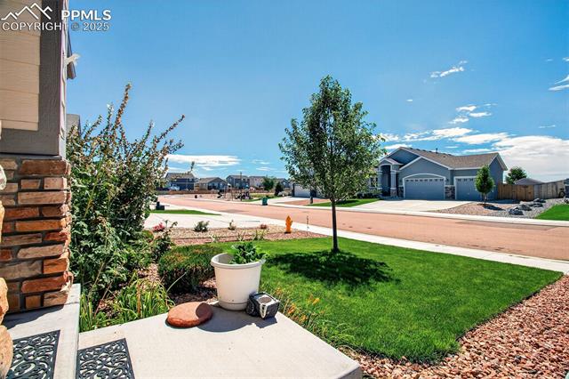 MLS Image for 8746  Bittercress  ,Colorado Springs, Colorado