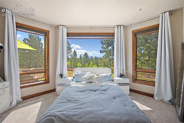 MLS Image for 4267  County Road 51  ,Divide, Colorado