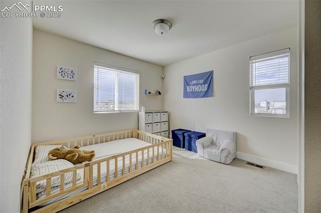 MLS Image for 9773  Marble Canyon  ,Peyton, Colorado