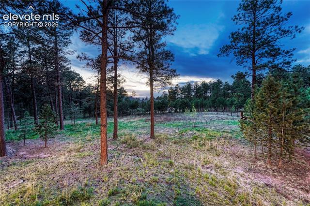 MLS Image for 16152  Timber Meadow  ,Colorado Springs, Colorado