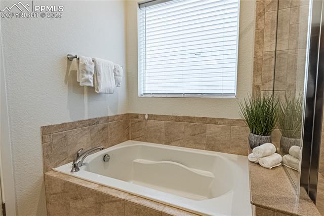 MLS Image for 6006  Trappers Tale  ,Colorado Springs, Colorado