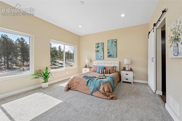 MLS Image for 108  High Pasture  ,Florissant, Colorado