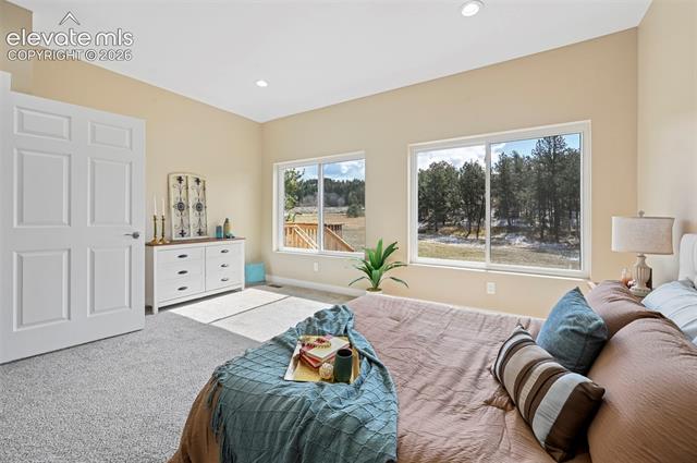 MLS Image for 108  High Pasture  ,Florissant, Colorado
