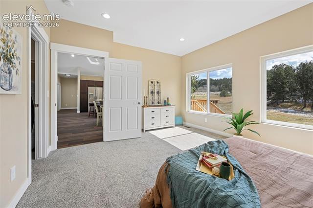 MLS Image for 108  High Pasture  ,Florissant, Colorado