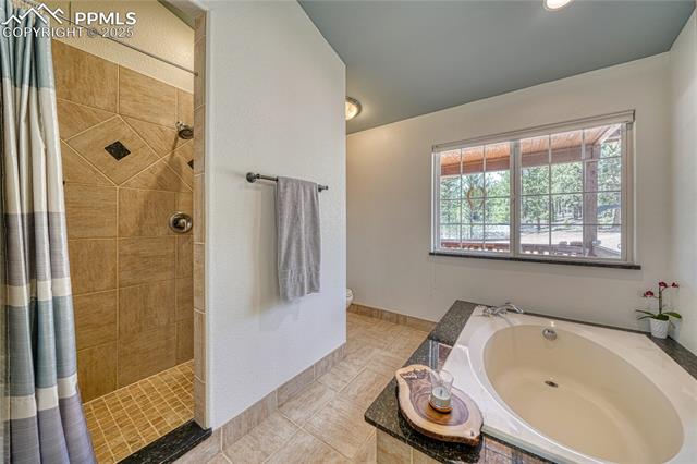 MLS Image for 62  Spring Creek  ,Divide, Colorado