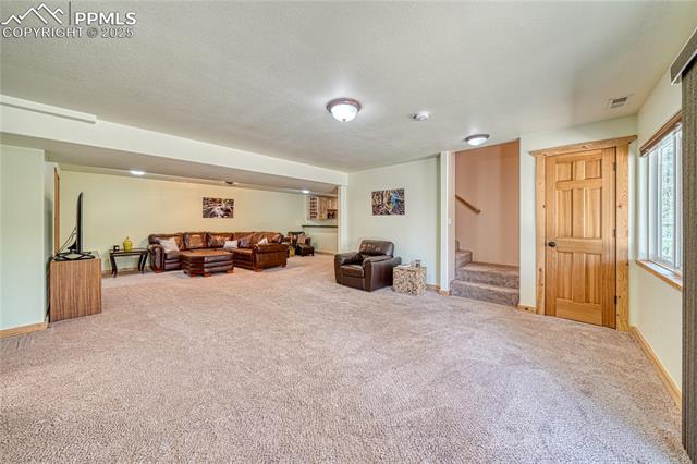 MLS Image for 62  Spring Creek  ,Divide, Colorado