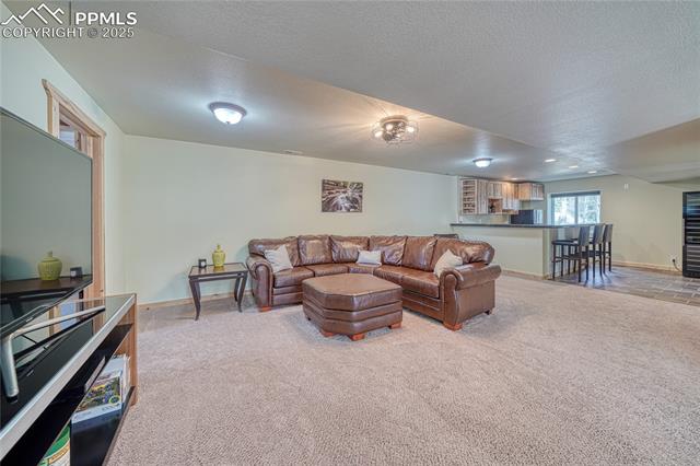 MLS Image for 62  Spring Creek  ,Divide, Colorado