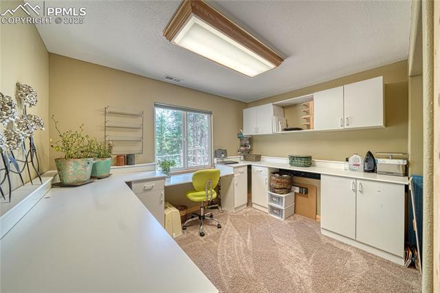 MLS Image for 62  Spring Creek  ,Divide, Colorado