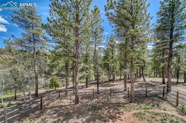 MLS Image for 62  Spring Creek  ,Divide, Colorado