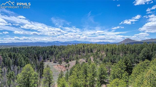 MLS Image for 62  Spring Creek  ,Divide, Colorado