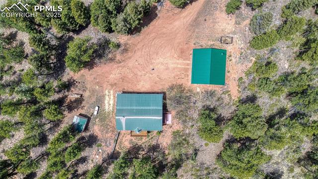 MLS Image for 62  Spring Creek  ,Divide, Colorado