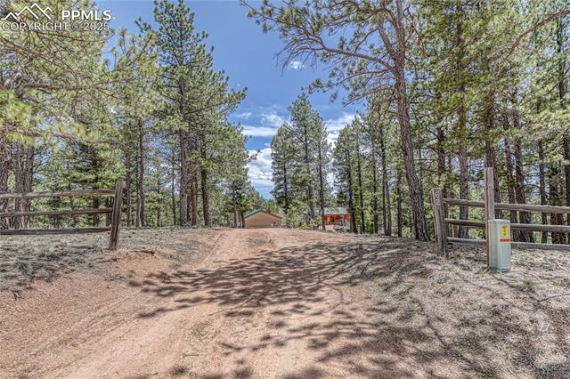 MLS Image for 62  Spring Creek  ,Divide, Colorado