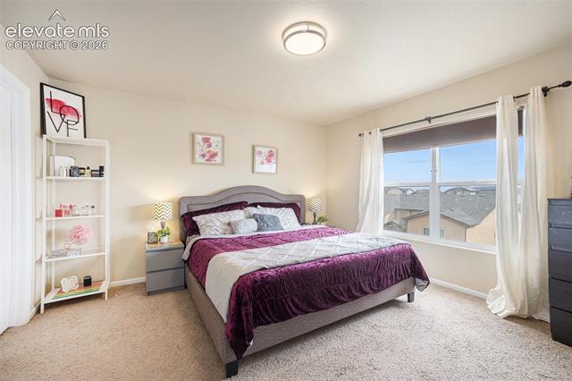 MLS Image for 8317  Chasewood  ,Colorado Springs, Colorado