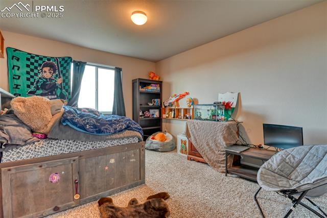 MLS Image for 5057  Makalu  ,Colorado Springs, Colorado