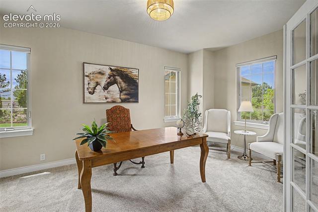 MLS Image for 9613  Blue Bonnet  ,Colorado Springs, Colorado