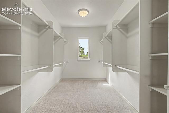 MLS Image for 9613  Blue Bonnet  ,Colorado Springs, Colorado