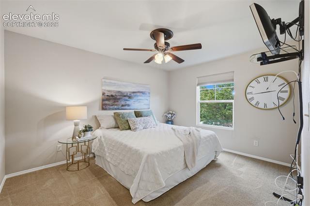 MLS Image for 249  Homeland  ,Colorado Springs, Colorado