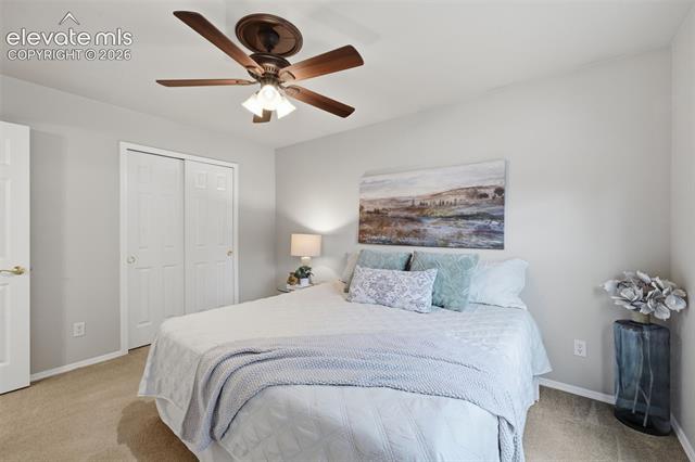 MLS Image for 249  Homeland  ,Colorado Springs, Colorado