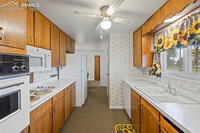 MLS Image for 2043  Patrician  ,Colorado Springs, Colorado
