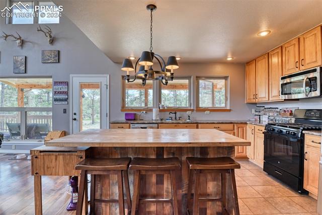 MLS Image for 147  Chinook  ,Florissant, Colorado