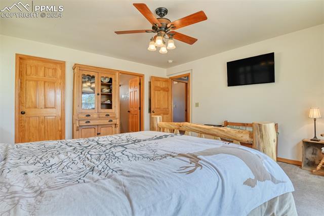 MLS Image for 147  Chinook  ,Florissant, Colorado