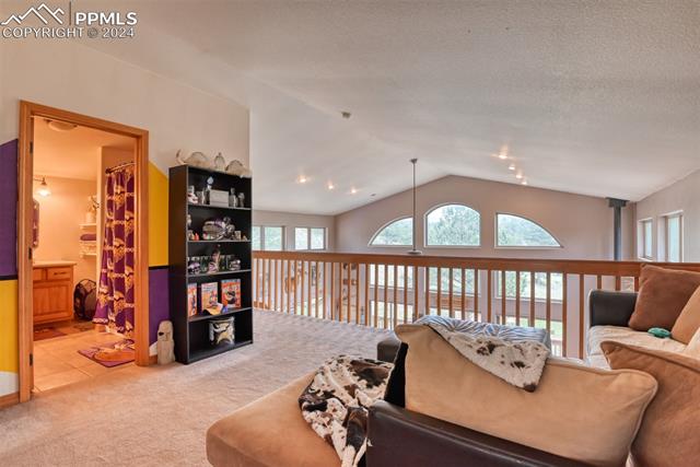 MLS Image for 147  Chinook  ,Florissant, Colorado