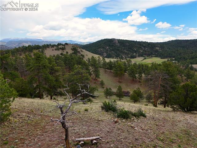 MLS Image for 147  Chinook  ,Florissant, Colorado