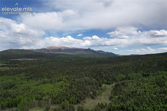 MLS Image for 776  Jolly Rogue  ,Divide, Colorado