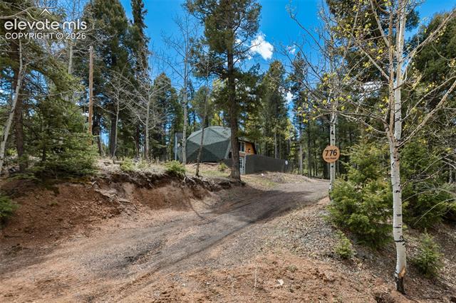 MLS Image for 776  Jolly Rogue  ,Divide, Colorado
