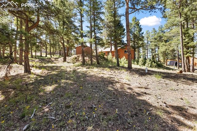 MLS Image for 234  Wasatch  ,Florissant, Colorado