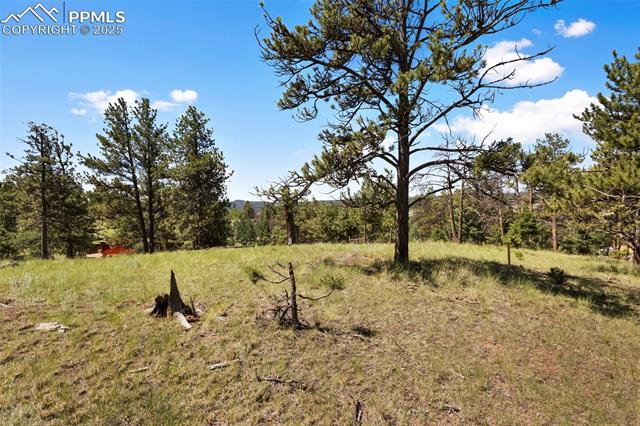 MLS Image for 234  Wasatch  ,Florissant, Colorado