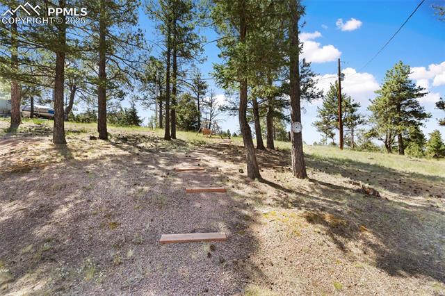 MLS Image for 234  Wasatch  ,Florissant, Colorado