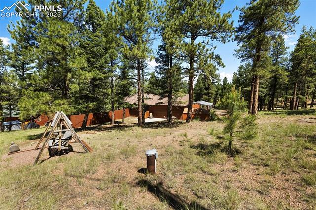 MLS Image for 234  Wasatch  ,Florissant, Colorado
