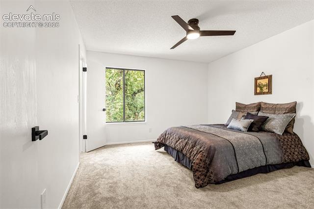 MLS Image for 2107  Mount Washington   ,Colorado Springs, Colorado