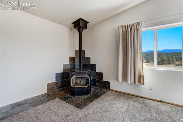 MLS Image for 115  White Tail  ,Florissant, Colorado