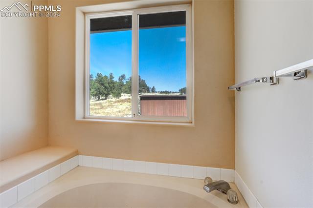 MLS Image for 115  White Tail  ,Florissant, Colorado