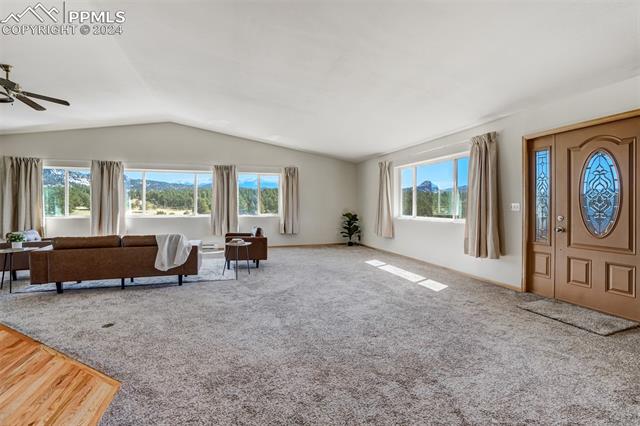 MLS Image for 115  White Tail  ,Florissant, Colorado