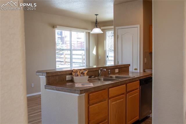 MLS Image for 16217  Windsor Creek  ,Monument, Colorado