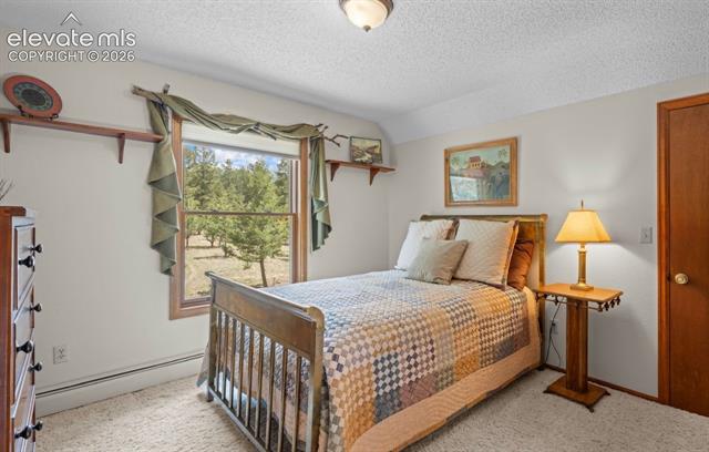 MLS Image for 370  High View  ,Woodland Park, Colorado