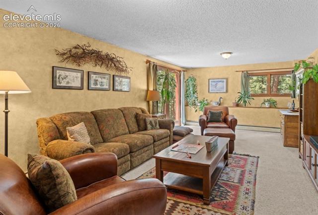 MLS Image for 370  High View  ,Woodland Park, Colorado