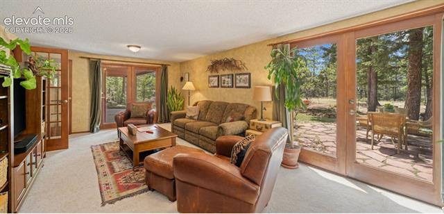 MLS Image for 370  High View  ,Woodland Park, Colorado
