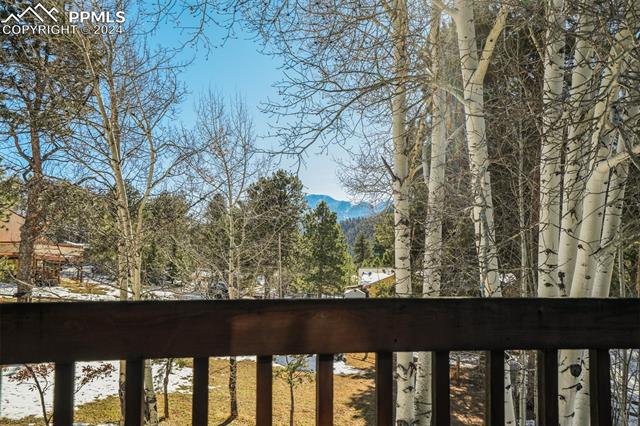 MLS Image for 320  Morning Sun  ,Woodland Park, Colorado